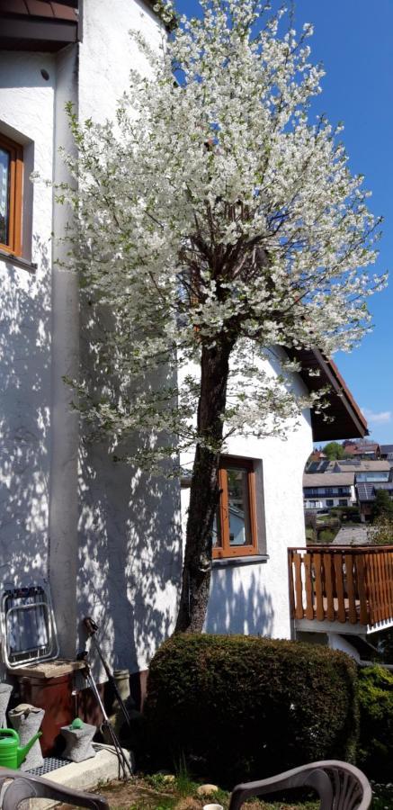 Haus Levi Apartment Neukirch  Luaran gambar